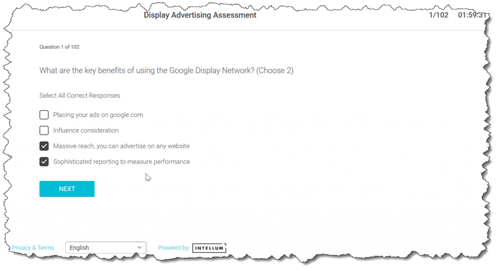 What are the key benefits of using the Google Display Network? (Choose 2) - SCHOOL4SEO