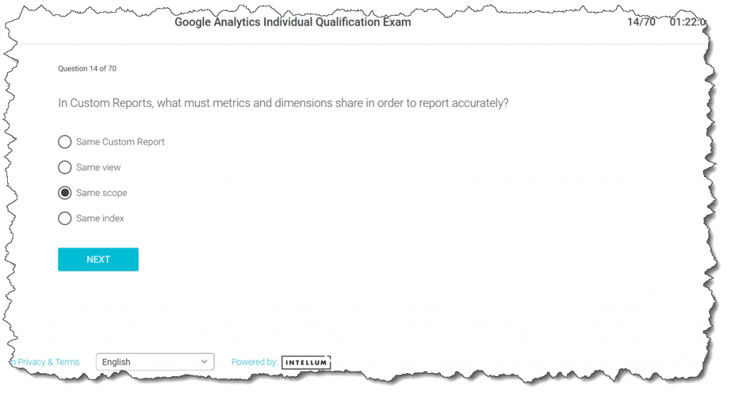 multiledger custom reports