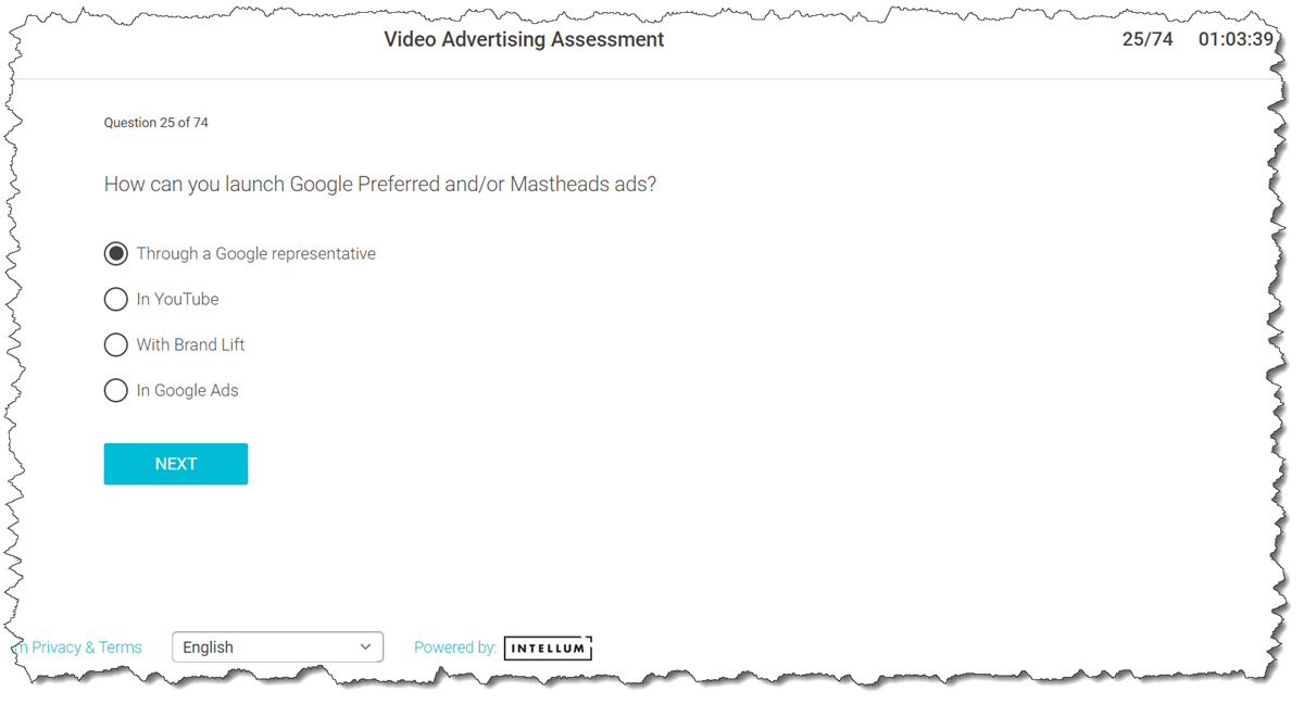 How Can You Launch Google Preferred And Or Mastheads Ads
