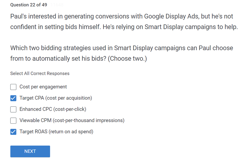Pauls interested in generating conversions with Google Display Ads but hes not confident in setting bids himself. Hes relying on Smart Display campaigns to hel