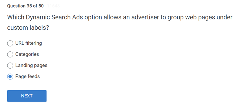 Which Dynamic Search Ads option allows an advertiser to group web pages under custom labels